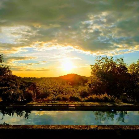Poderi In Chianti Tavarnelle Val di Pesa Dış mekan fotoğraf